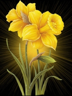 Yellow_Flowers - logouri