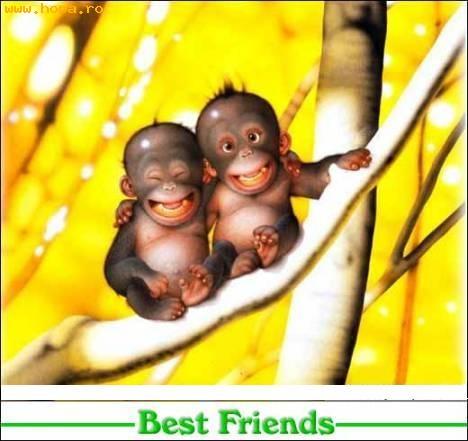 best_friends_1150878796[1] - poze diverse