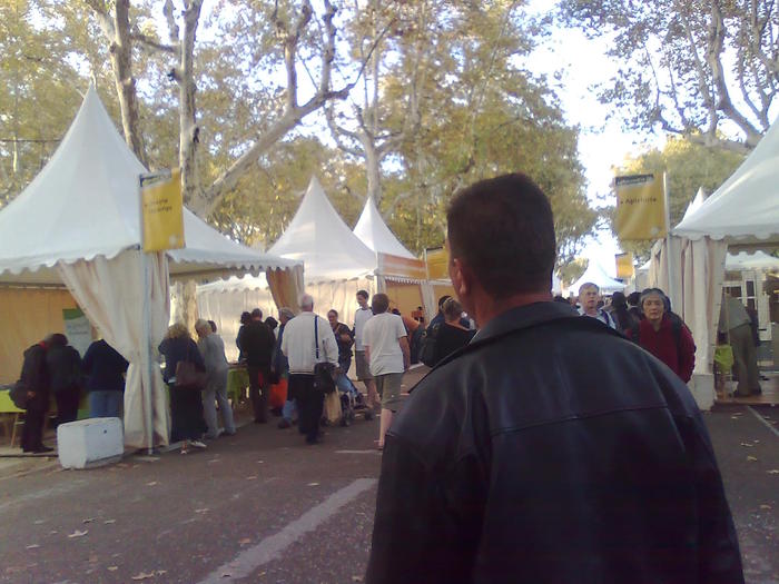 Imagine1223 - ApiMondia