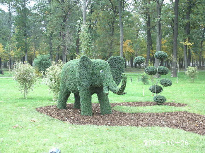  - Parcul Tineretului Craiova