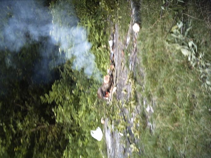 PICT0157