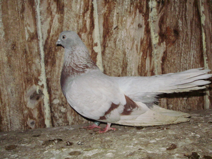 P9061591