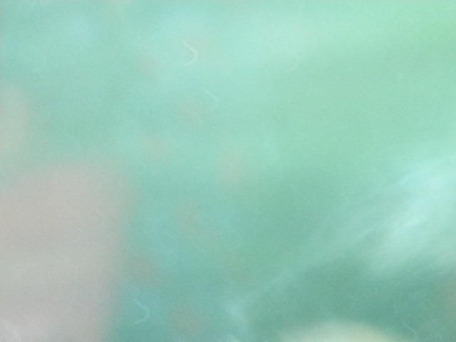 DSCN0538