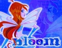 bloomok - Bloom