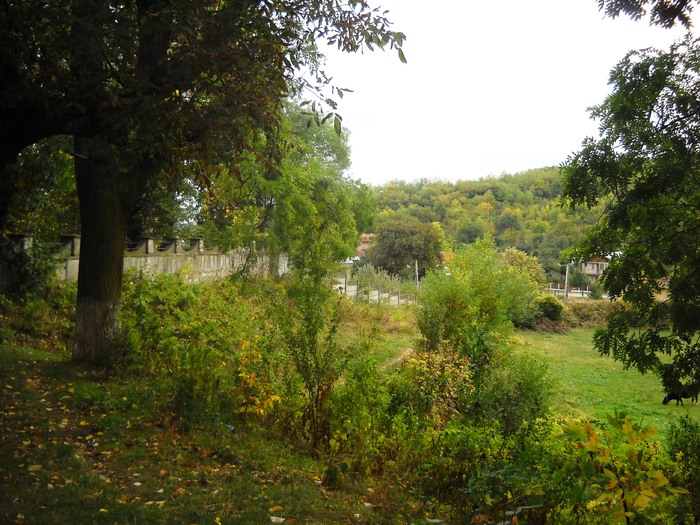 Picture 284; 1.94mb jpeg 10/4/2009 3.11pm
