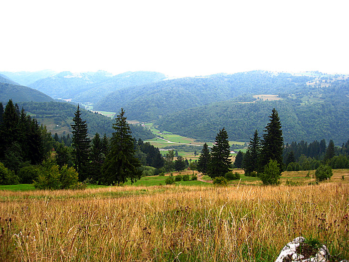  - COLTUL CHILIILOR - MUNTII PIATRA CRAIULUI