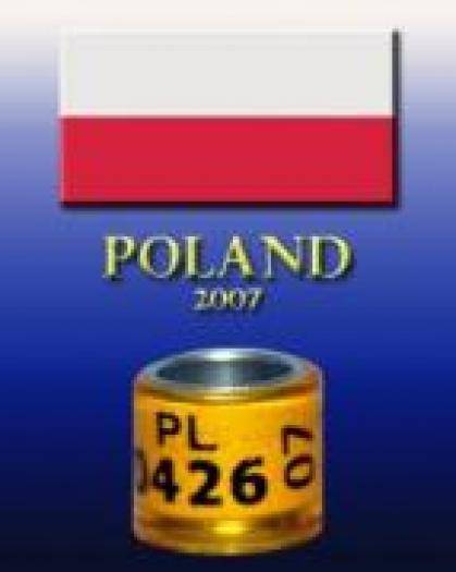 POLAND 2007 - c INELE DIN TOATE TARILE
