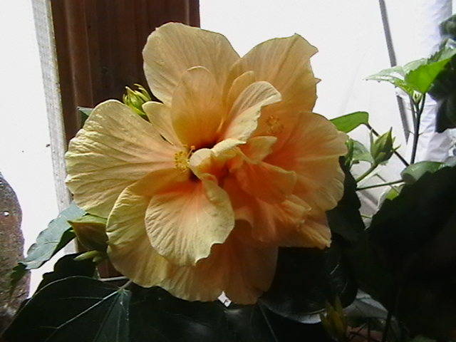 Picture 049