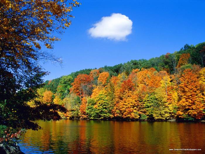 Seasonal Shoreline - Very Beautiful Nature Scenes
