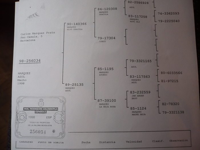 P1050457 - 7-PEDIGREE