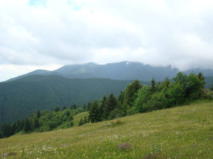 DSC03910 - Concediu 2009