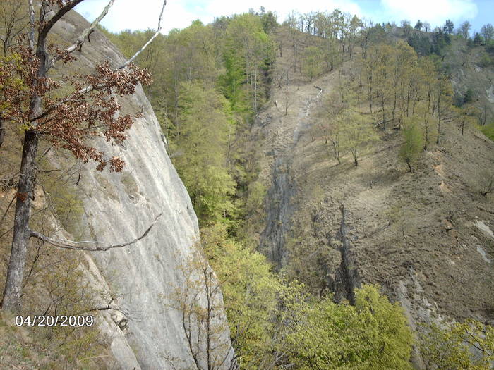 BREZOI.20.04.2009 043