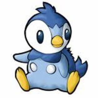 piplup - pokemon