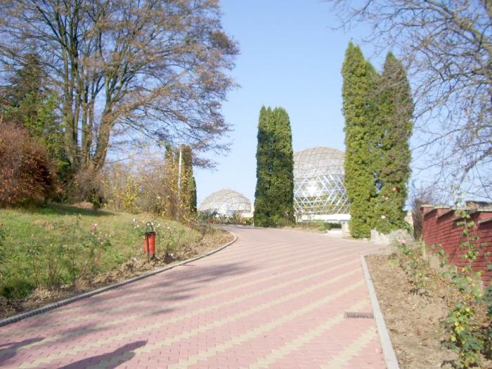 Re-exposure of IMGP7010 - Gradina Botanica din Jibou