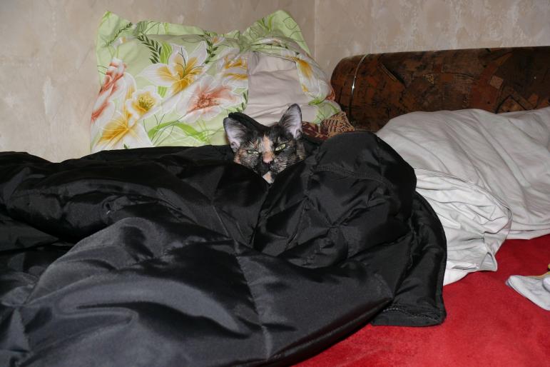 In geaca mea - Mitza