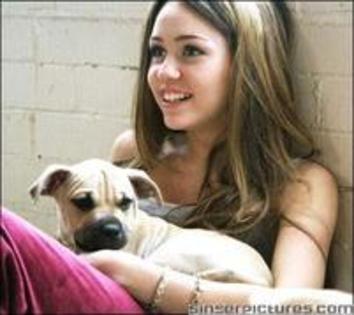 CUFZDJERFMCMCTWQBQI - Miley sh animale