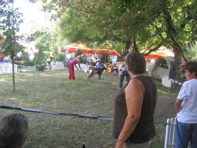 IMG_3355 - EXPO Tg Mures 2008