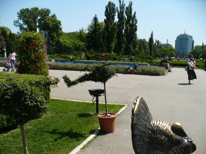 P1120083
