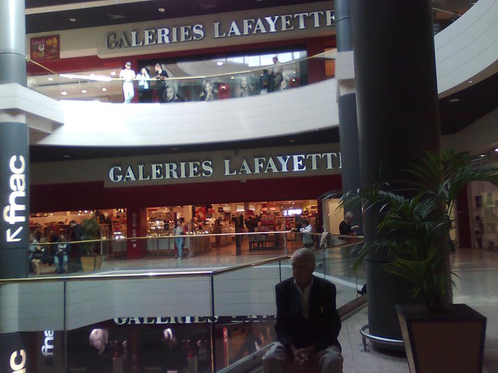 de traditie fr - ApiMondia