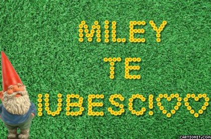 miley!!