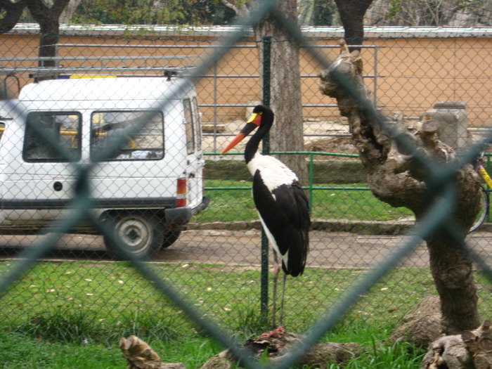 IMG_0426 - Gradina Zoologica din Barcelona