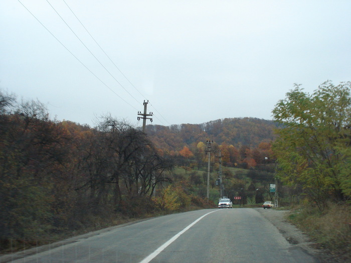 Picture 663 - toamna-traseu- baia mare- satu mare si retur