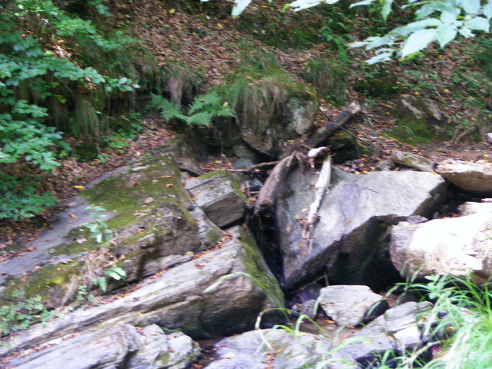 DSCF5400