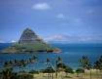 vacanta in honolulu