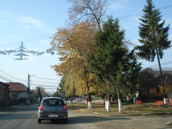 Picture 006 - toamna-traseu- baia mare- satu mare si retur