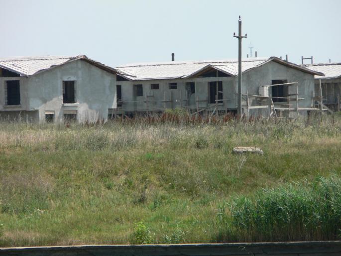 P1000208 - 2007 in plimbare prin herastrau