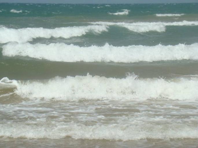 DSC05441