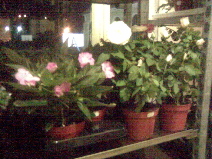 Imag014