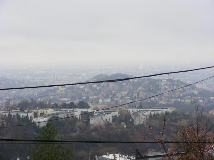 091; Budapesta
