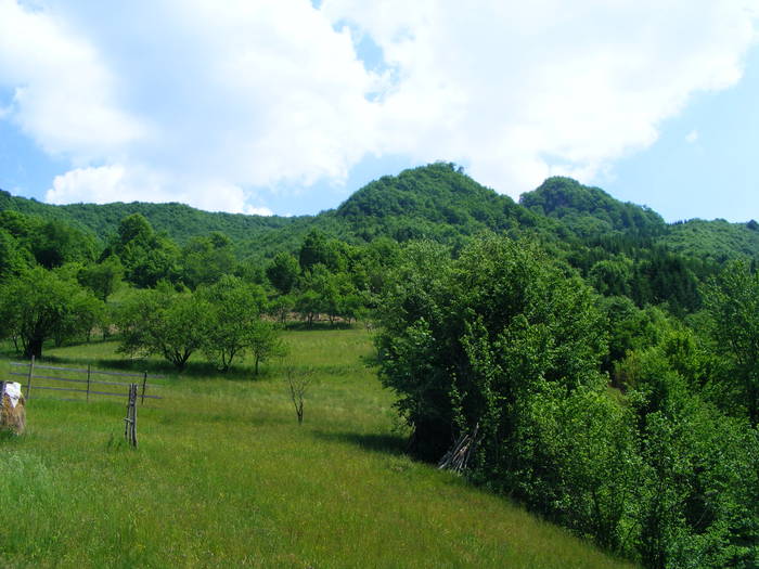 DSCF1007