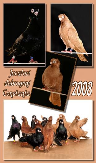 Picture 107 - jucatori de constanta