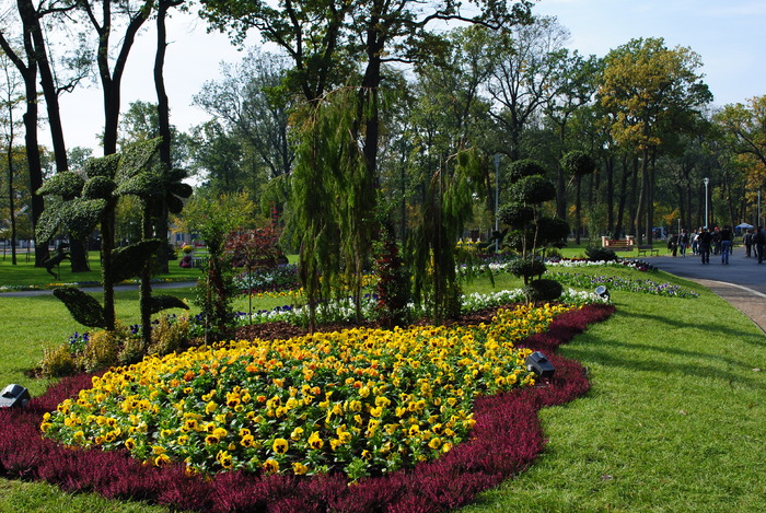  - Parcul Tineretului Craiova