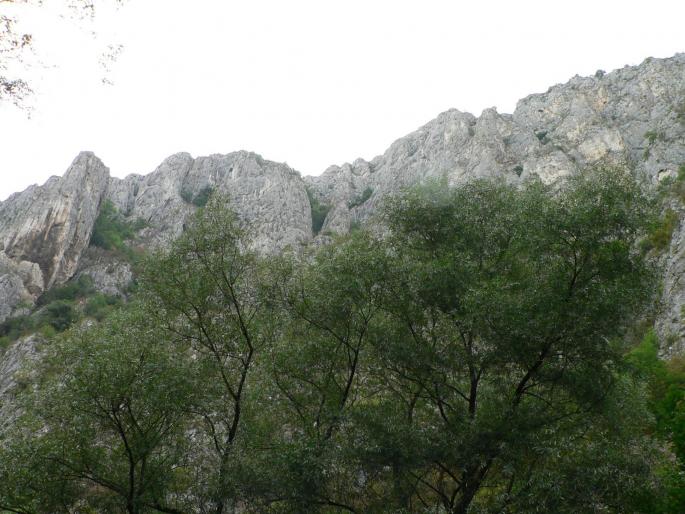 P100082