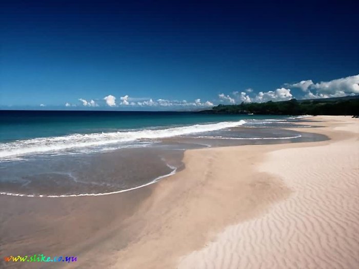 NATURE05 - Din Natura