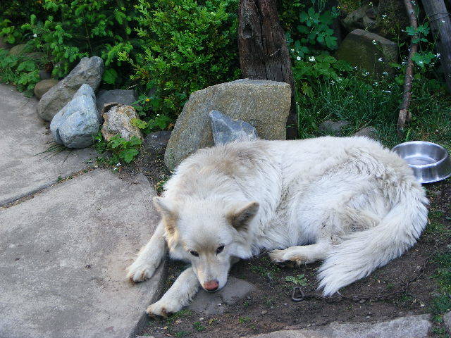 DSCF0145
