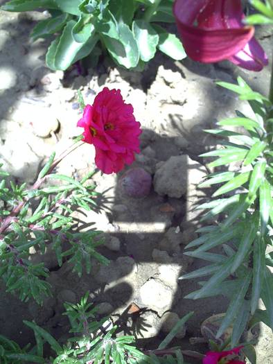 PICT0057