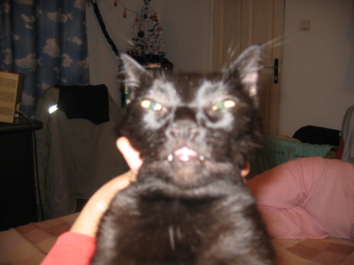 23 dec 2007 049