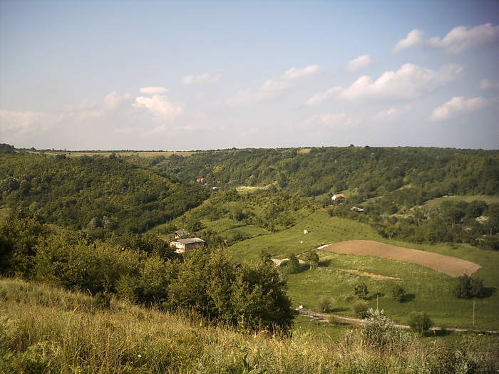 PICT0154