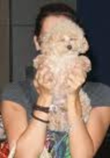 raraaaaaaa - ASHLEY TISDALE POZE RARE