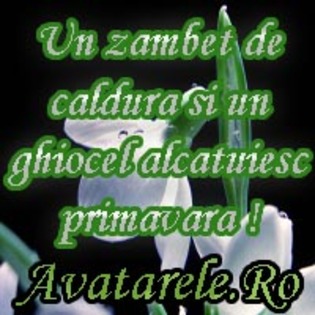 53 - poze avatar primavara