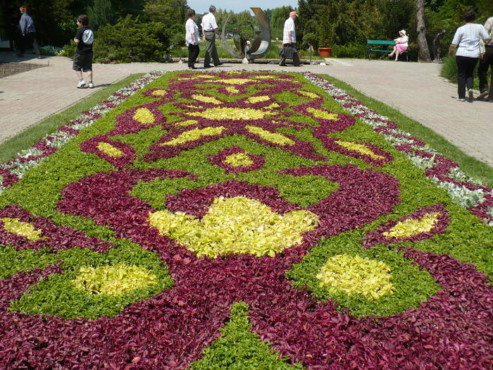 P1120079 - Herastrau 2009 mai 10
