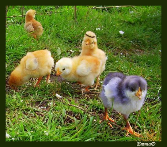 9QQQ3A66ABW5WF4VKM72H5340