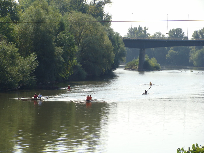 Concursul Cupa Mures 2009