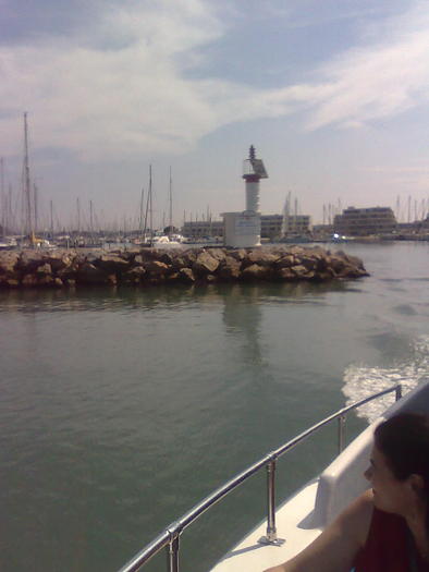 intre privati si paizani - ApiMondia