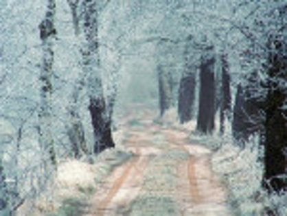Winter_by_voorikvergeet - Iarna