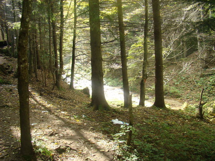 DSC00279 - Piatra Mare Sapte Scari